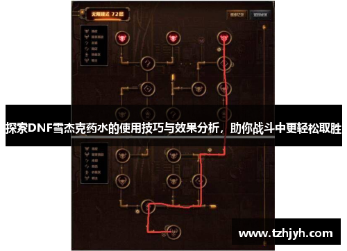 探索DNF雪杰克药水的使用技巧与效果分析，助你战斗中更轻松取胜