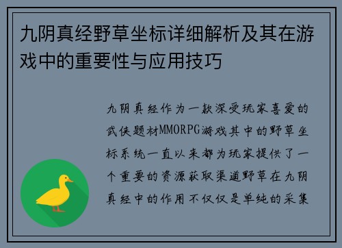 九阴真经野草坐标详细解析及其在游戏中的重要性与应用技巧