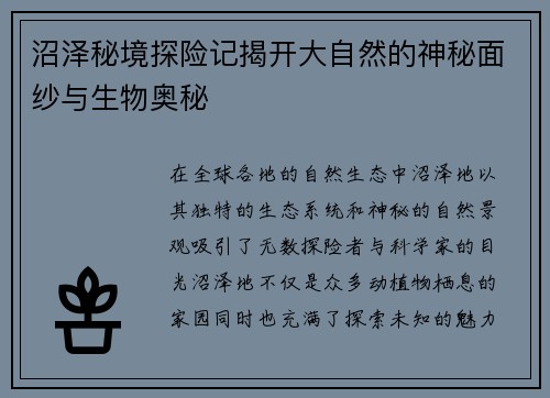 沼泽秘境探险记揭开大自然的神秘面纱与生物奥秘